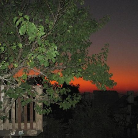 Appartement The House By The Mulberry Tree à Neve Ilan Extérieur photo